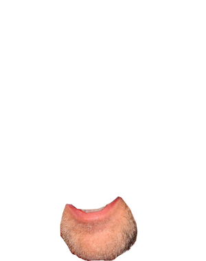 Nicolas Cage's mouth